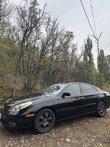 полики lexus nx: Lexus ES: 2003 г., 3 л, Автомат, Бензин, Седан — 5