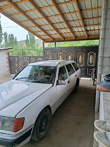 mersedes 212: Mercedes-Benz W124: 1991 г., 2.9 л, Механика, Дизель, Универсал — 3