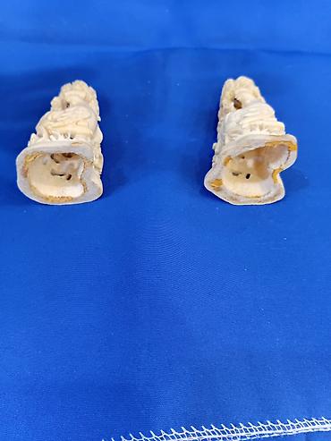 Sikkələr: Sovet rublu, 1917 il — 13