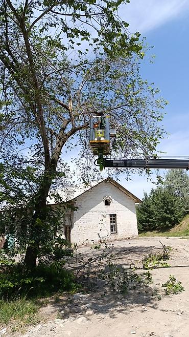 услуги кранов: Альпинистские и подъемные работы по деревьям. Профессиональная обрезка — 2