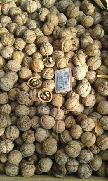 Сухофрукты, орехи, снеки: ОРЕХИ грецкиедомашниепродаю от 10 кг, есть 100 кг75 сом/кг