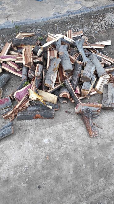 где купить дрова для бани: Дрова Карагач, Платная доставка