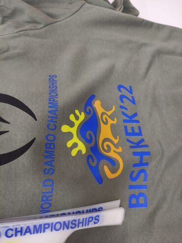 Печать: Шелкография, Высокоточная печать, Сублимационная (дисперсная) печать, | Кепки, Брендбуки, Одежда — 4