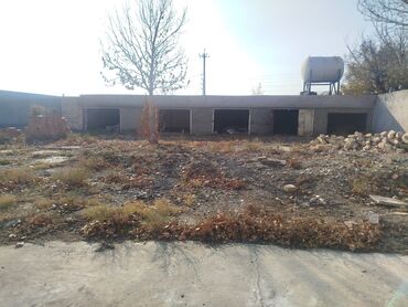 Torpaq sahələrinin satışı: Kənd təsərrüfatı, Kupça (Çıxarış) — 3