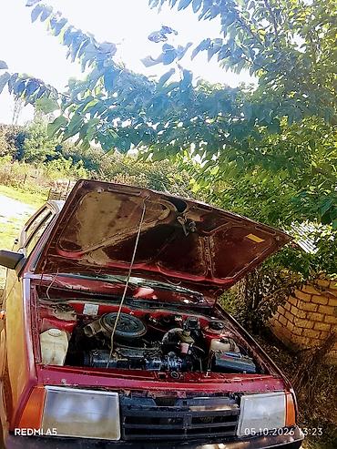 radiator barmaqligi 07: LADA Samara (21099) sedan - Kuzov: 4 qapılı sedan, al-qırmızı rəng — 1