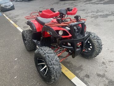 Kvadrosikllar: 200 sm3, 2022 il, 2900 km — 4