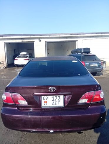 тайота ипсум старушка: Toyota Windom: 2002 г., 3 л, Автомат, Газ, Седан