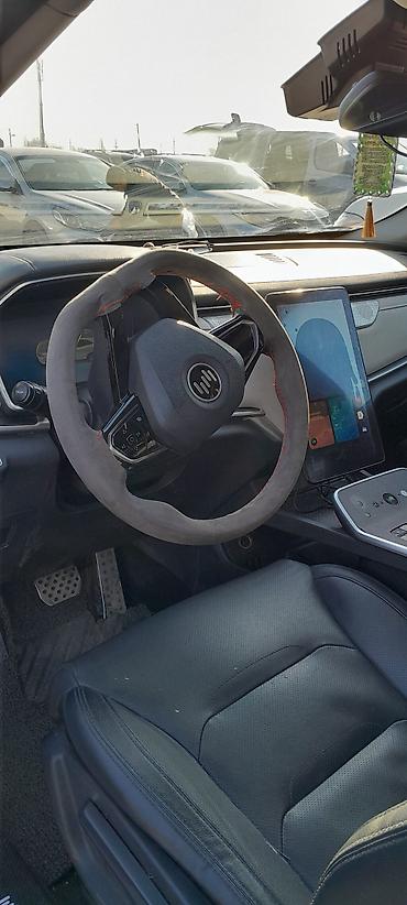 Weltmeister: Weltmeister EX5, 2021 г., 92 км, В наличии — 9