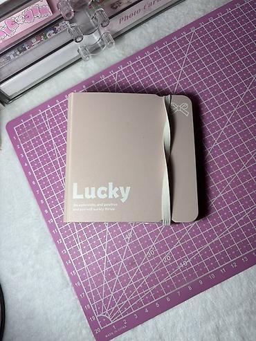 Binder daha baha alınıb Məhsul: Foto kart albomu – “Lucky” - Rəng