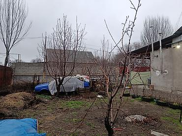 Продажа коттеджей и домов: Продаётся жилой дом с участком. Основные характеристики: - — 3