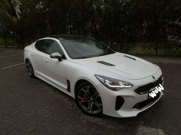 полированный машинка: Kia : 2020 г., 2 л, Автомат, Бензин, Универсал