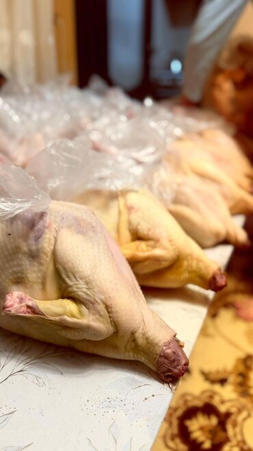 Птица: Индюк :, 4 кг, 5 кг, 6 кг, Самовывоз, Платная доставка — 2