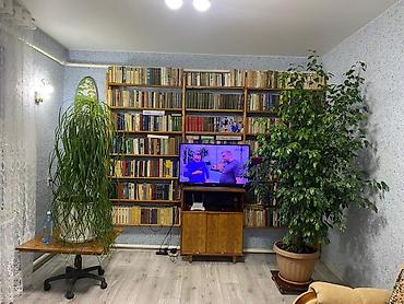 Фикусы: Фикус Бенджамина, крупный комнатный экземпляр-дерево. - Высота: около — 4