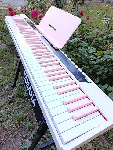 metronom: Piano, Rəqəmsal, Yeni, Ünvandan götürmə, Pulsuz çatdırılma — 2