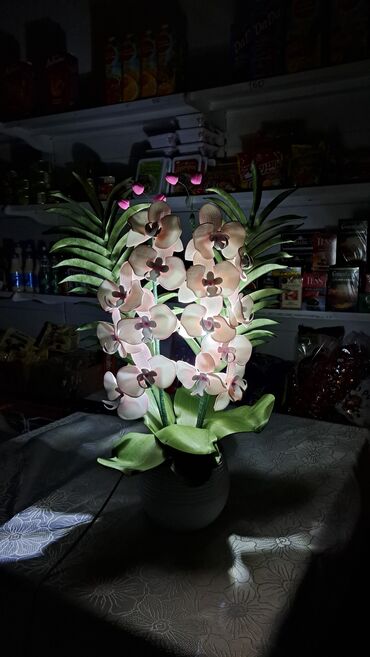 Утепленные жилеты: Орхидея 
Орхидея светильник 
Цветы Бишкек
Светильник 
Ручнаяработа — 4