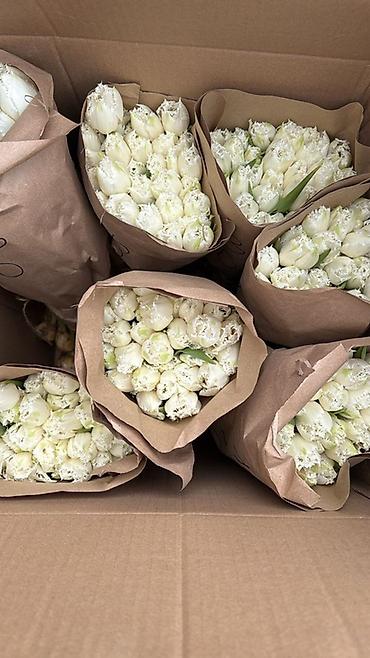 Букеты из живых цветов: Тюльпаны упаковки в крафт-бумаге - Разнообразие окрасов — 5