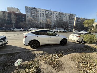 Tesla: Tesla Model Y: 2023 г., Электромобиль, Кроссовер — 2