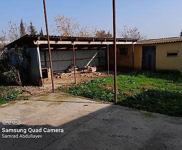 ev alqi satqi kiraye: Salam Ev Satılır Cəlilabad rayon Fərzili kəndə yerləşir asfalta 700 — 5