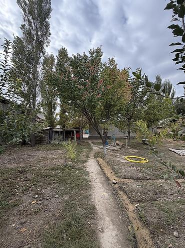дом село грозд: 5 комнат, 140 м², 20 соток, Бишкек, Собственник — 5