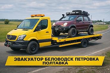 помощь животным: Услуги эвакуатора — 1