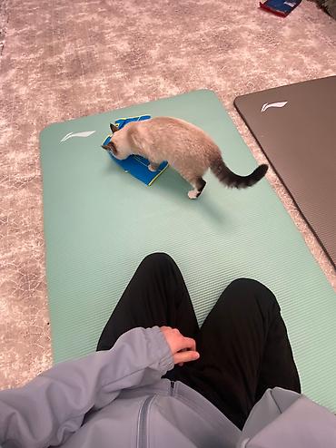 Другое для спорта и отдыха: Характеристики: • Тип: Каремат • Бренд: LI-NING • Размеры: 183*80 — 17