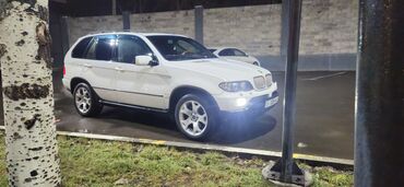 BMW: BMW X5: 2005 г., 4.4 л, Автомат, Бензин, Кроссовер — 15