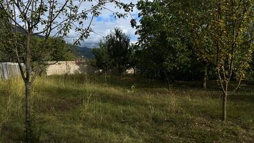 Torpaq sahələrinin satışı: 15 sot, Tikinti, Makler, Kupça (Çıxarış) — 12