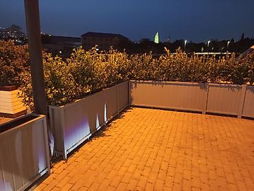 taxta dibcekler: Taxtalar ile ev, bağ, restoran, ofis, otel ve s. məkanlarınızın müasir — 2