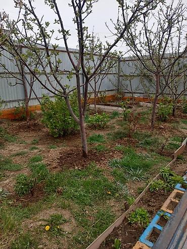 Продажа домов: Дом, 208 м², 8 комнат, Собственник, Евроремонт — 17