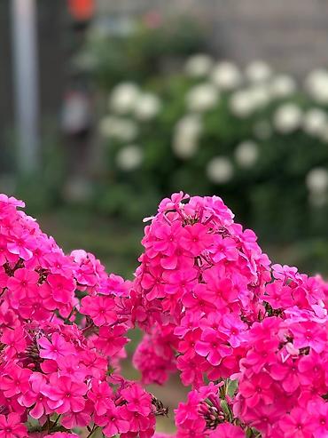 Посуточная аренда комнат: 16 м², С мебелью — 16