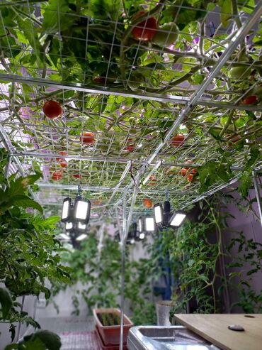 Другие товары для дома и сада: Гидропоника!!!!- это метод автоматезированного выращивания — 29