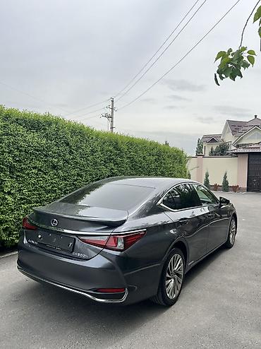 Lexus: Lexus ES: 2022 г., 2.5 л, Гибрид — 4