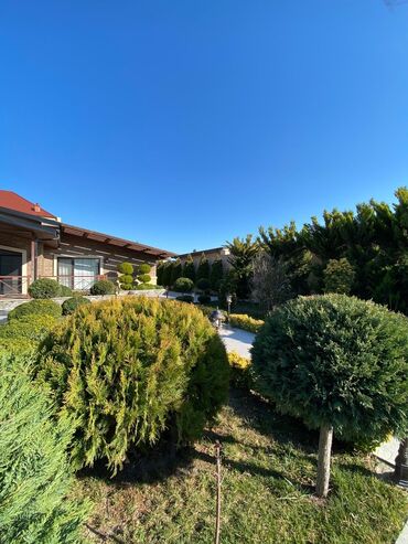 бина аз недвижимость: Bağ evi – geniş həyət və zövqlü interyer - Landşaftlı, dekorativ ağac