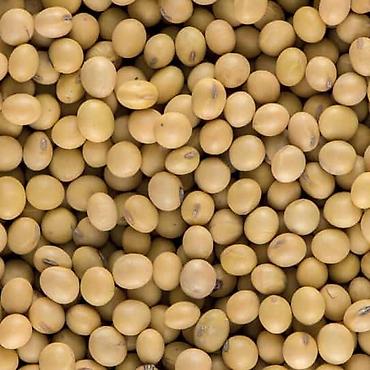 Другие сеялки: 🔥 посевной комплекс cansa (турция) по супер цене! 🔥 сеялка — 4