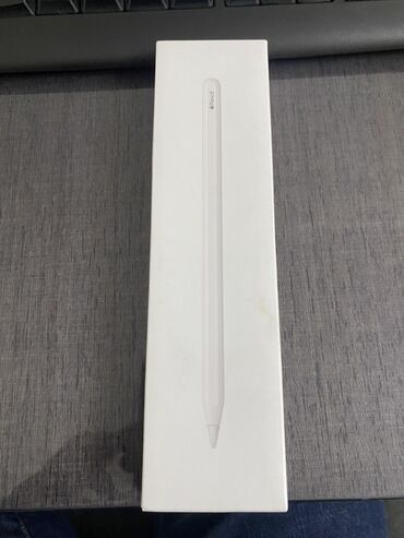 флипчарты стеклянная маркерная для письма маркером: Apple Pencil (2‑го поколения) Совместим с: •	iPad mini (6th