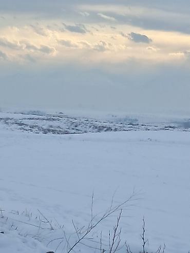 Продажа участков: 20 соток, Для сельского хозяйства, Красная книга, Тех паспорт — 1