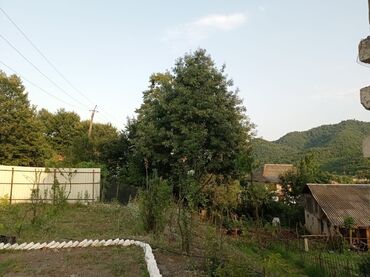 Bağ evlərinin kirayəsi: 40 kv. m, 2 otaqlı, Hovuzsuz, Kanalizasiya, İşıq, Qaz — 21