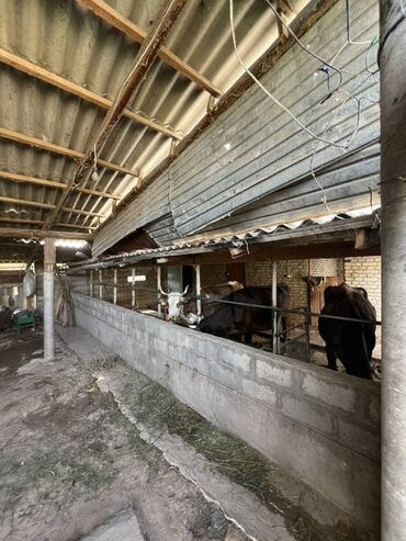 Продажа домов: Дом, 500 м², 6 комнат, Собственник, ПСО (под самоотделку) — 32