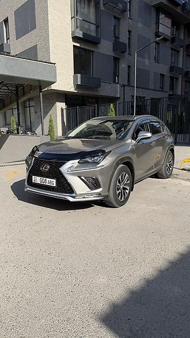 lexus nx: Lexus NX: 2019 г., 0.2 л, Автомат, Бензин, Кроссовер — 6