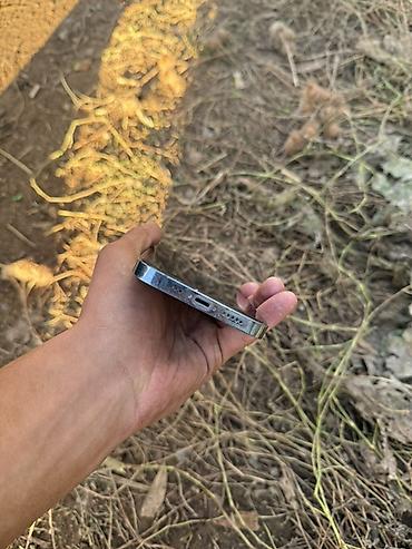 Мобильные телефоны: IPhone 13 Pro, 6.1" - Цвет: светло‑голубой (Sierra Blue) - Корпус с — 3