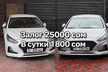 Сдаю Hyundai Sonata, Долгосрочно, Без водителя at lalafo.kg Сдаю Hyundai Sonata, Долгосрочно, Без водителя