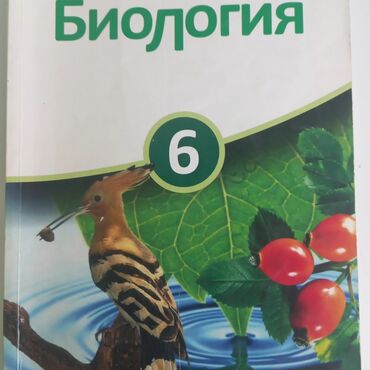 Книги, журналы, CD, DVD: Книги, журналы, CD, DVD