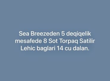 yaşıl ada nabran: 8 sot, Mülkiyyətçi
