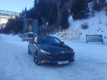 Бюро находок: Утерян Гос. Номер 08KG558ATM. Нашеджего прошу отозваться по номеру — 1