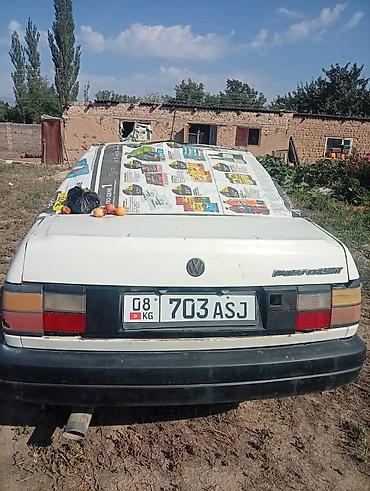 e53 amg: Volkswagen Passat: 1990 г., Седан — 4