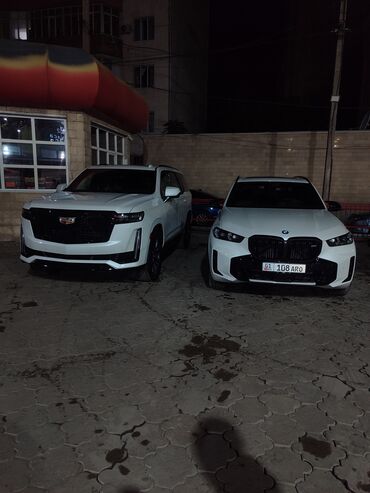 стирка ковров новопокровка: Срочно требуется опытные автомойщики, оплата ежедневно. хорошая
