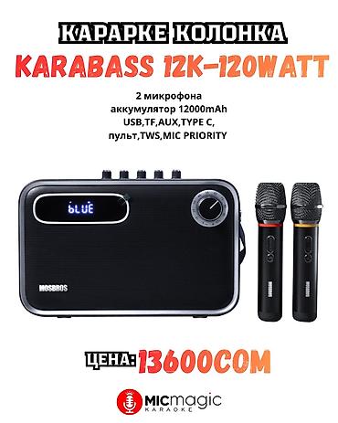 Портативная караоке-система Karabass 12K-120WATT предлагает мощный