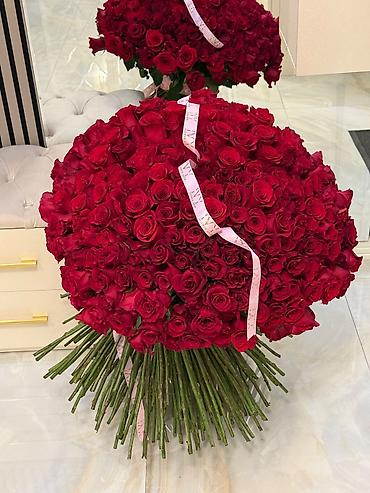 gull: Tecili satilir 301 rosa bugun yigiblar celd alicilara endirim olacay — 2