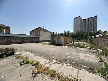 ош рынак: 5 соток, Для строительства, Договор купли-продажи, Красная книга, Тех паспорт — 2