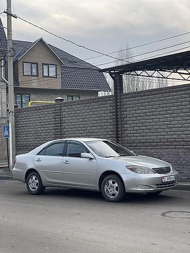 Toyota: Toyota Camry: 2003 г., 2.4 л, Автомат, Бензин, Седан — 4